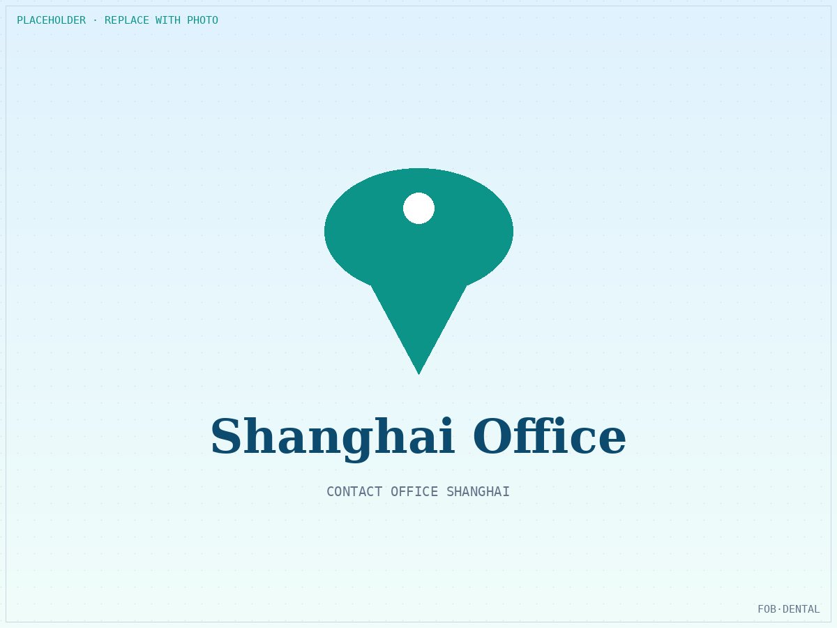 Dental Devices for Turkish Distribution and FTZ Re-Export: Istanbul Sourcing from Shanghai